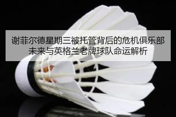 谢菲尔德星期三被托管背后的危机俱乐部未来与英格兰老牌球队命运解析